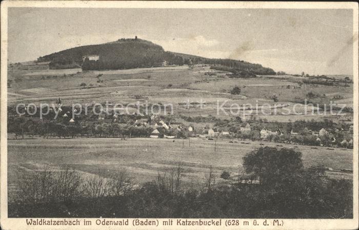 Waldkatzenbach mit Katzenbuckel