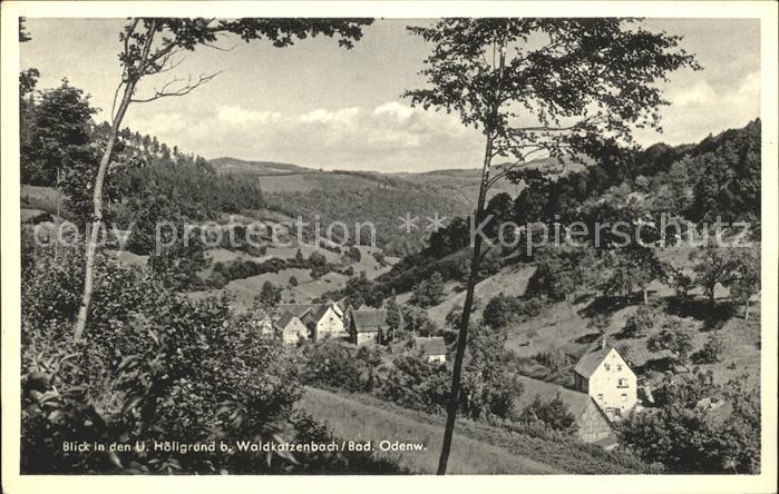 Waldkatzenbach Hoellgrund