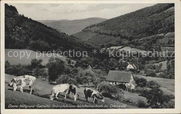 Struempfelbrunn Oberer Hoellgrund Gaimuehl Waldkatzenbach