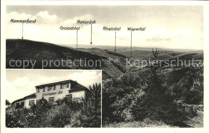 Presberg Rheingau Gasthaus Pension Rheingauer Alp