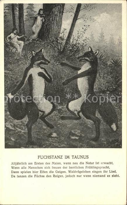 Fuchstanz Taunus Restaurant