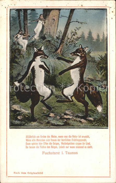 Fuchstanz Taunus Restaurant