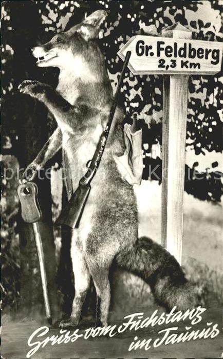 Fuchstanz Taunus Restaurant