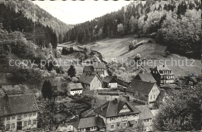 Zorge mit Elsbachtal