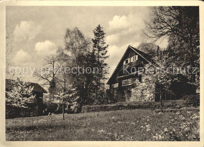 Reinhardswald Schule