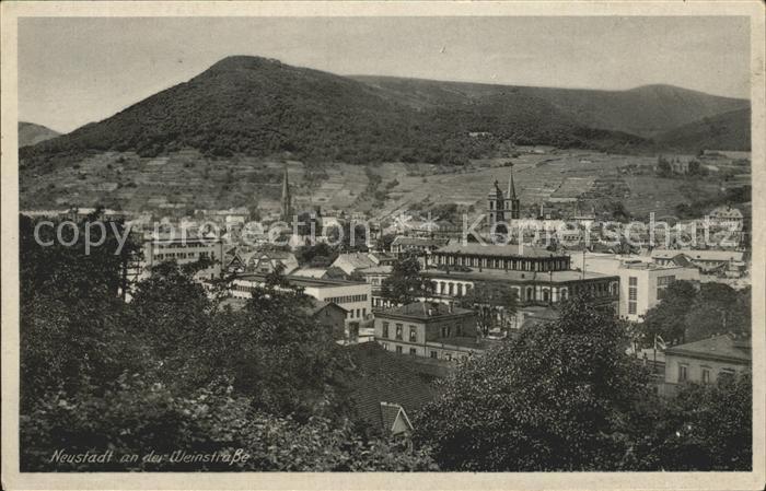 Neustadt Weinstrasse Blick ueber die Stadt