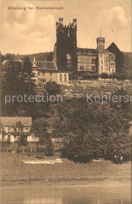 Neckarsteinach Mittelburg