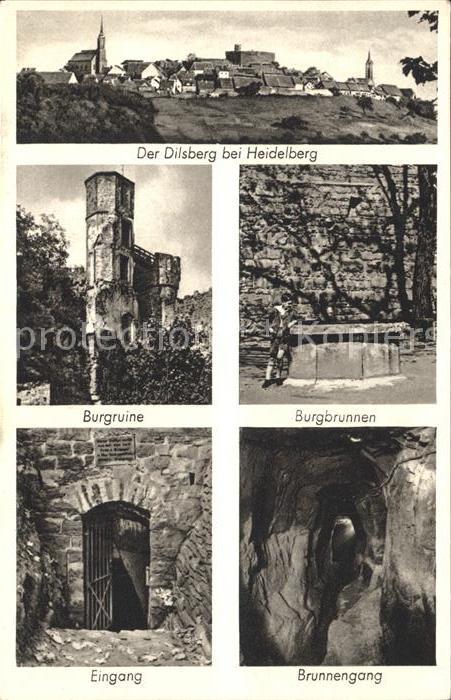Heidelberg Neckar Dilsberg Burgruine Burgbrunnen Brunnengang