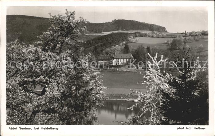 Heidelberg Neckar Abtei Neuburg Baumbluete