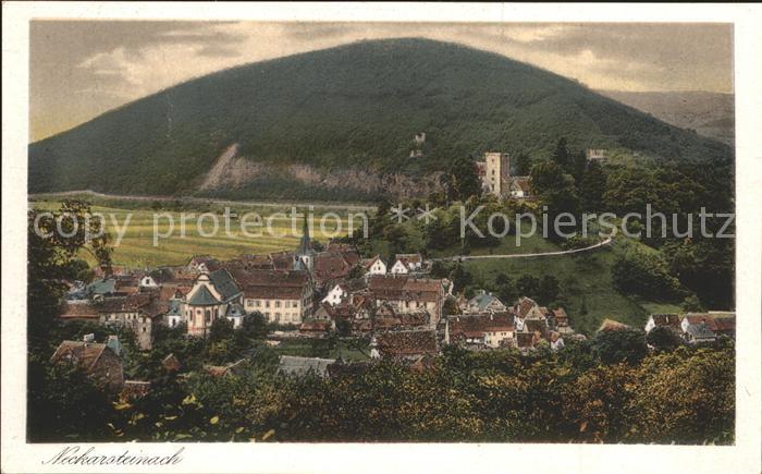 Neckarsteinach Gesamtansicht Burg