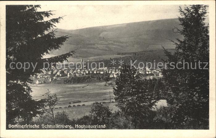 Schmallenberg Panorama Sommerfrische