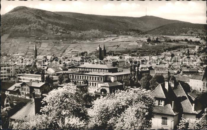 Neustadt Weinstrasse Panorama Bick von der Hambacher Hoehe