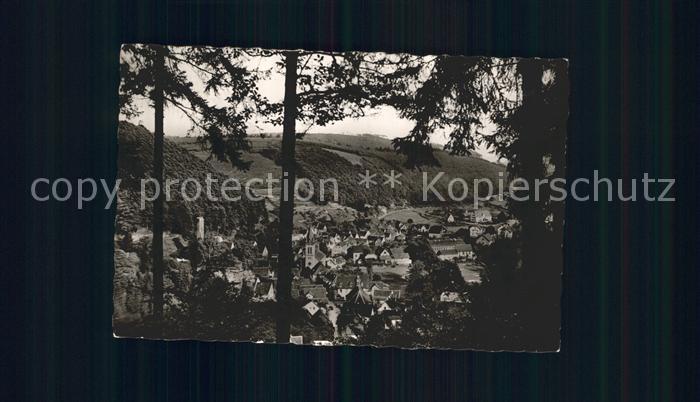 Elmstein Durchblick vom Waldrand aus