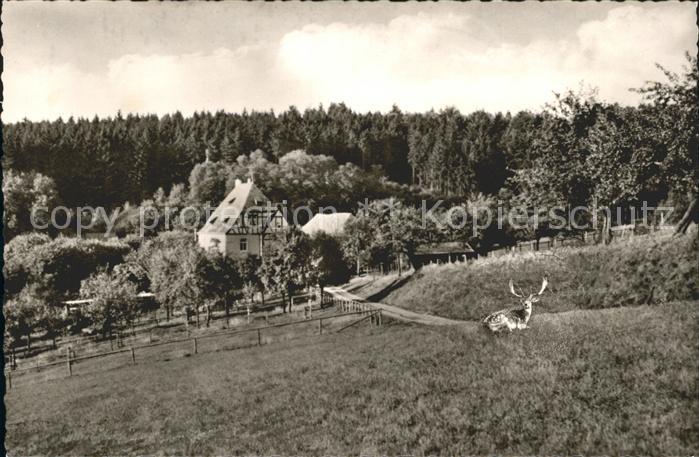 Koblenz Rhein Forsthaus Restecken Restauration Stadtwald Hirsch