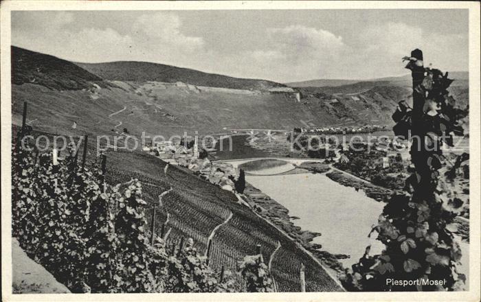 Piesport Panorama Weinberge Mosel