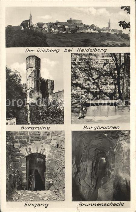 Dilsberg Burgruine Burgbrunnen Brunnenschacht