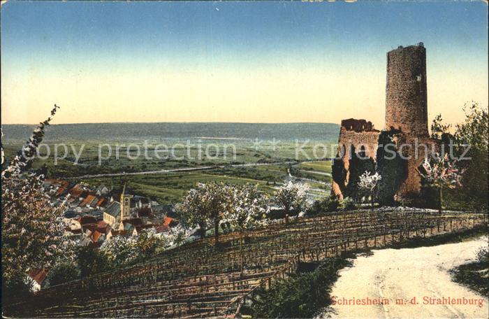 Schriesheim mit der Strahlenburg Baumbluete