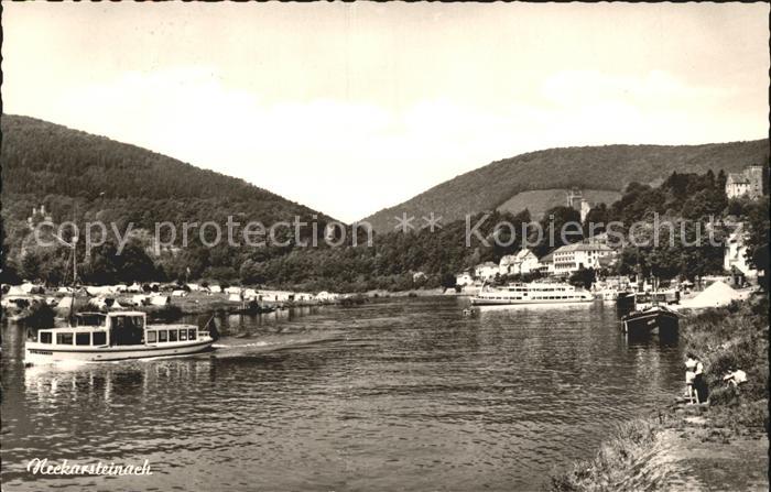 Neckarsteinach Partie am Neckar Boot