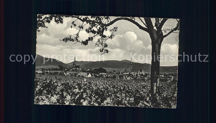 Edenkoben Gesamtansicht Weinstadt