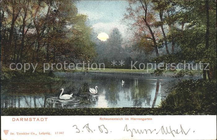 Darmstadt Schwanenteich im Herrengarten Mondschein