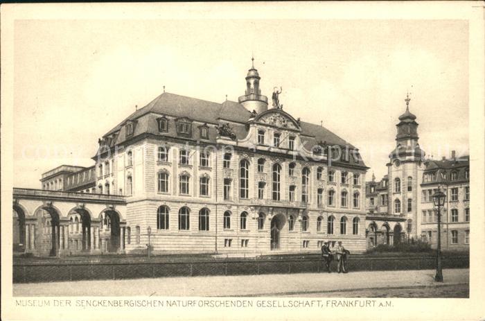Frankfurt Main Senckenbergisches Museum Naturkundemuseum