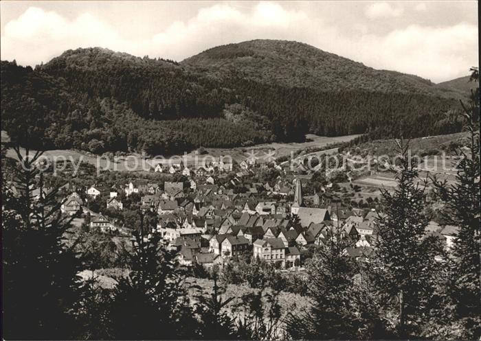 Bad Laasphe Gesamtansicht Luftkurort Hotel Fasanerie
