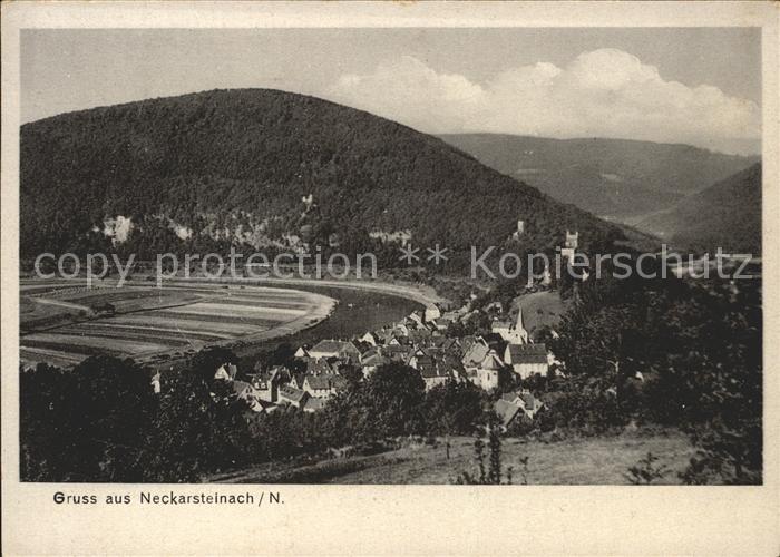Neckarsteinach Panorama