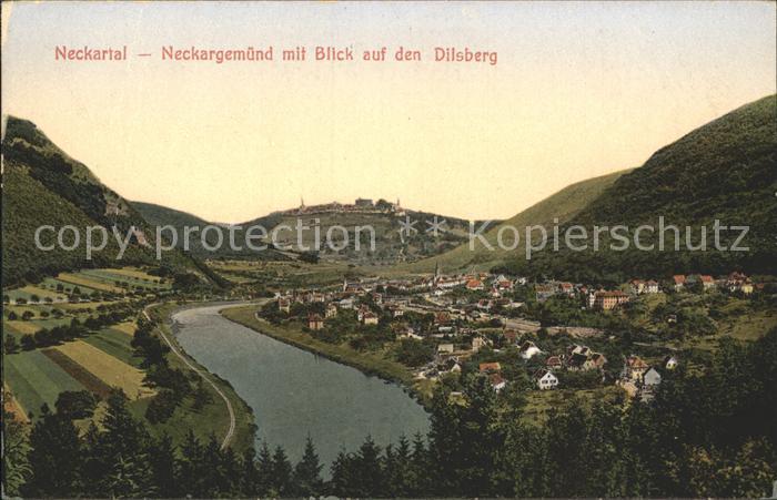 Neckargemuend im Neckartal mit Dilsberg