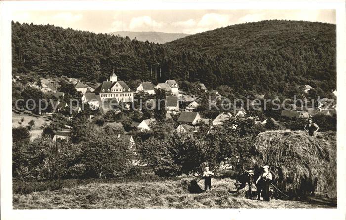 Waldhilsbach Gasthaus zum Roessl