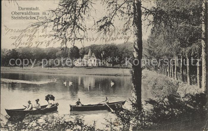 Darmstadt Oberwaldhaus mit Steinbruecker Teich