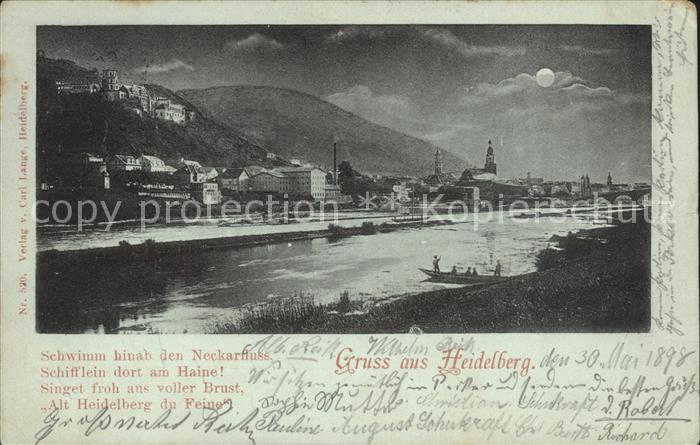 Heidelberg Neckar Parite am Neckar
