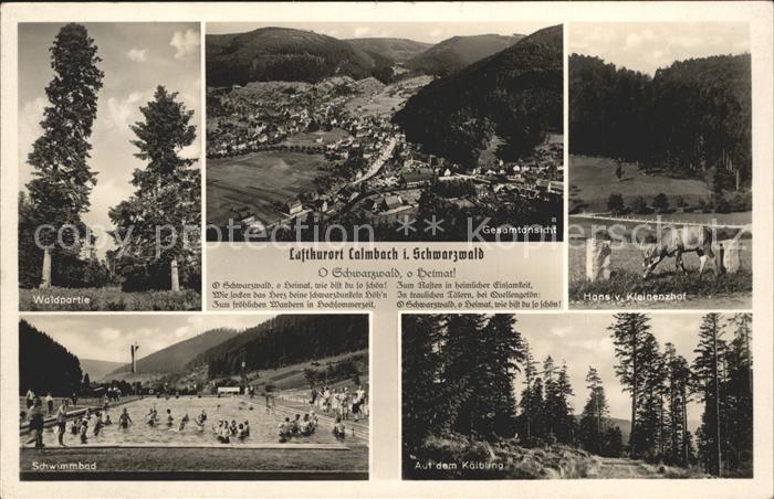 Calmbach Enz mit Schwimmbad