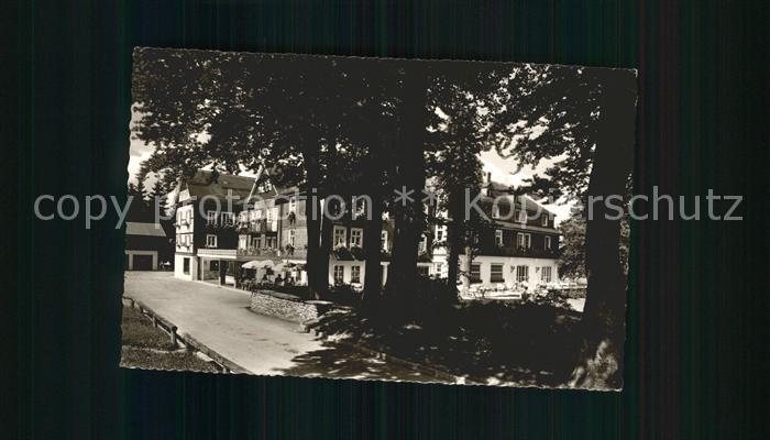 Fleckenberg Jagdhaus Wiese Hotel Pension