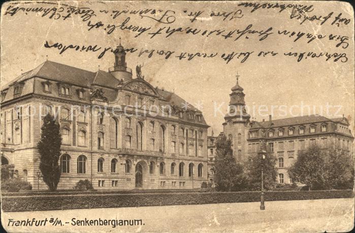 Frankfurt Main Senkenbergianum