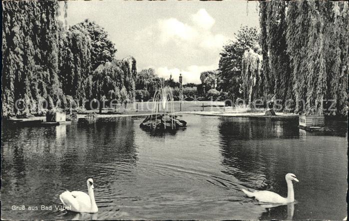 Bad Vilbel Schwanenteich