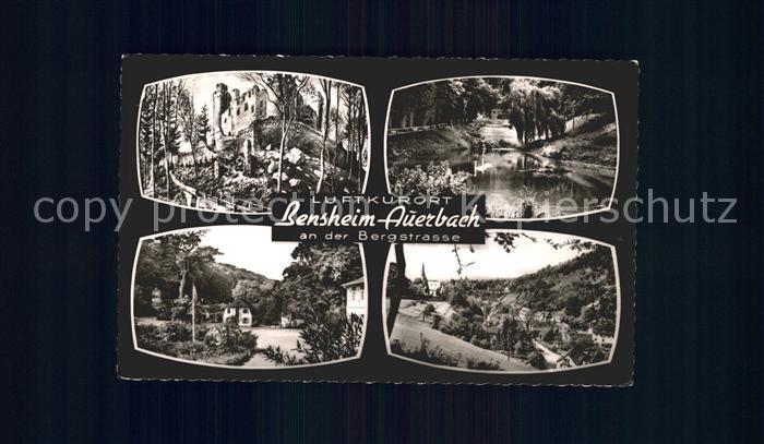 Bensheim Bergstrasse Burg Teich