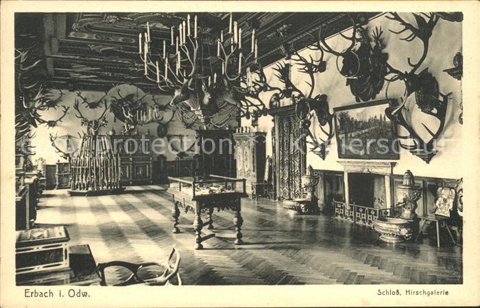 Erbach Odenwald Schloss Hirschgalerie