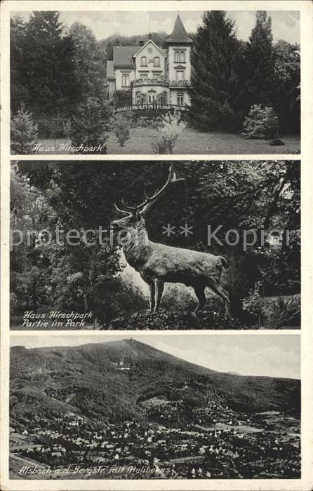 Alsbach Bergstrasse Haus Hirschpark Melibokus