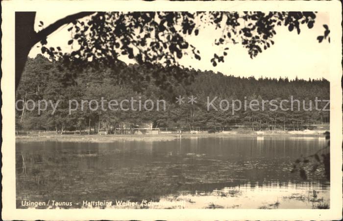 Usingen Hattsteins Weiher