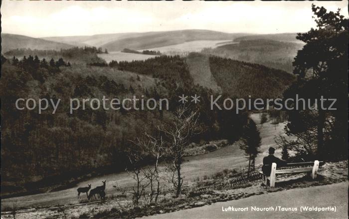 Nauroth Heidenrod Wald