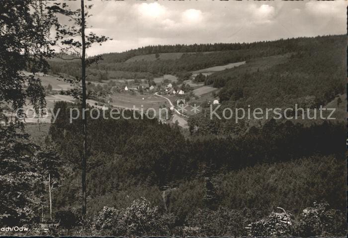 Raubach Odenwald Wald