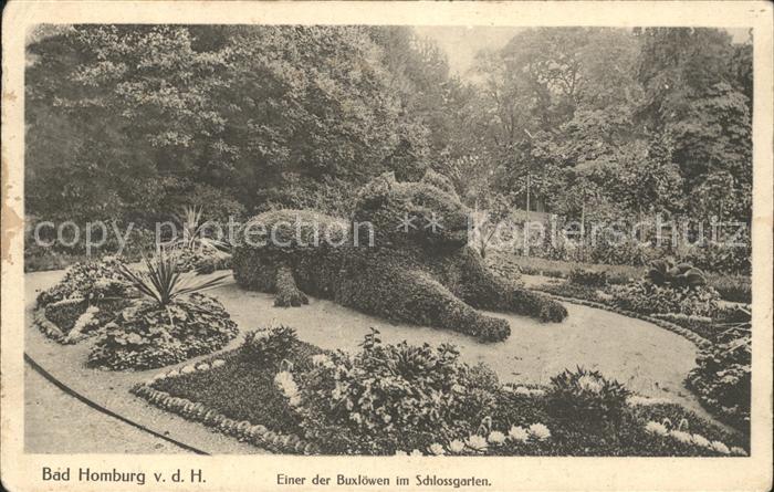Bad Homburg Einer der Buxloewen im Schlossgarten