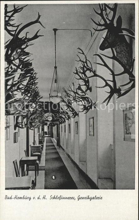 Bad Homburg Schlossinneres Geweihgalerie
