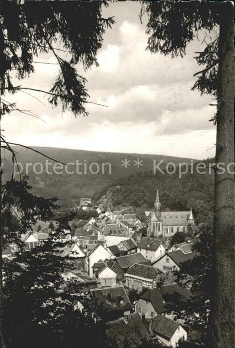 Schmitten Taunus Gesamtansicht