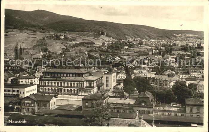 Neustadt Haardt Totalansicht