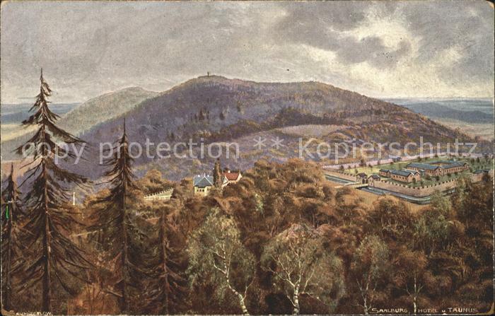 Saalburg Taunus Panorama
