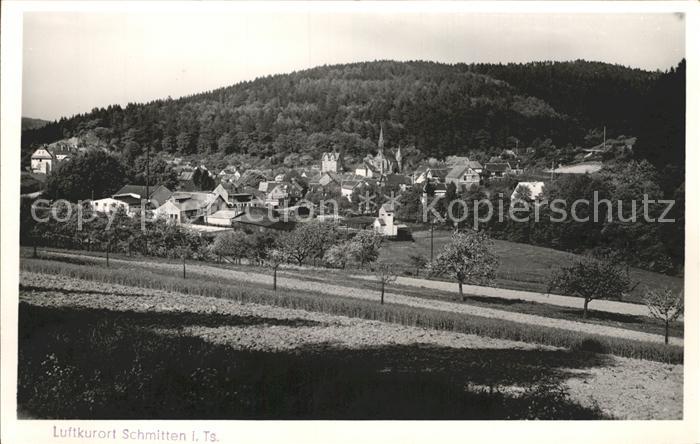 Schmitten Taunus Panorama