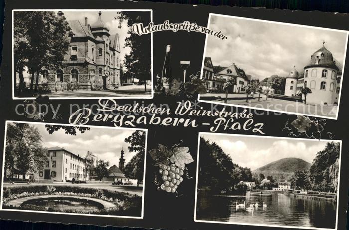 Bad Bergzabern Orts und Teilansichten Schwanenteich