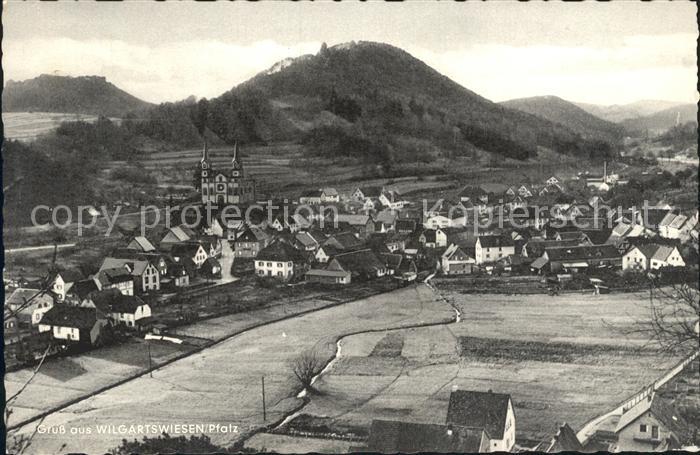 Wilgartswiesen Totalansicht