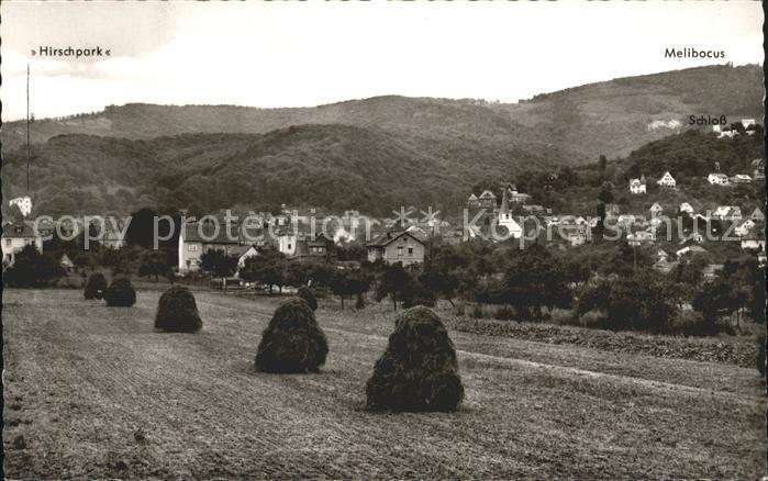 Alsbach Bergstrasse Ortsansicht Hirschpark Melibocus